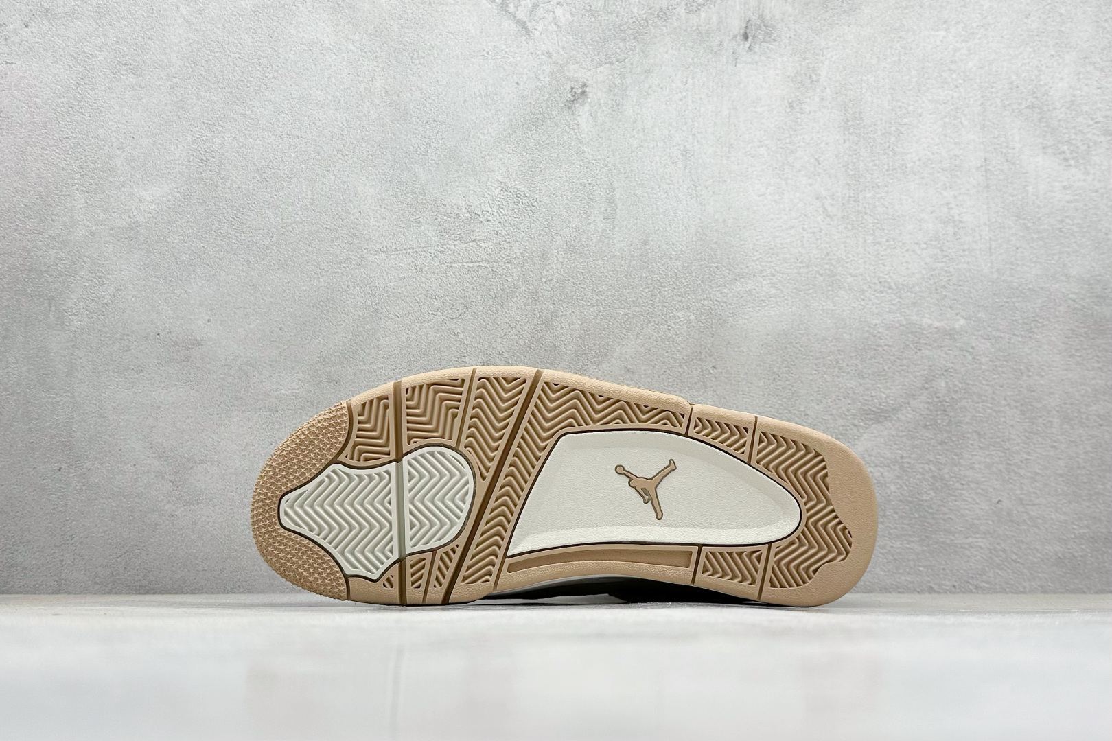 Jordan Nike Basic Shoes