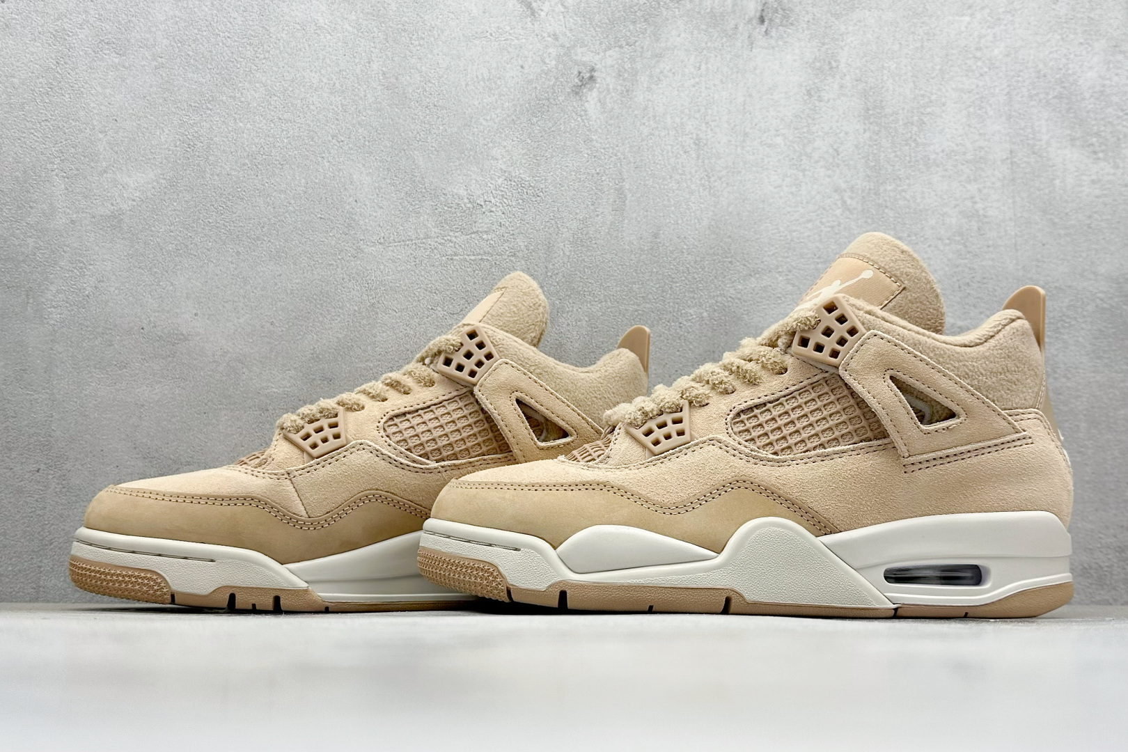 Jordan Nike Basic Shoes