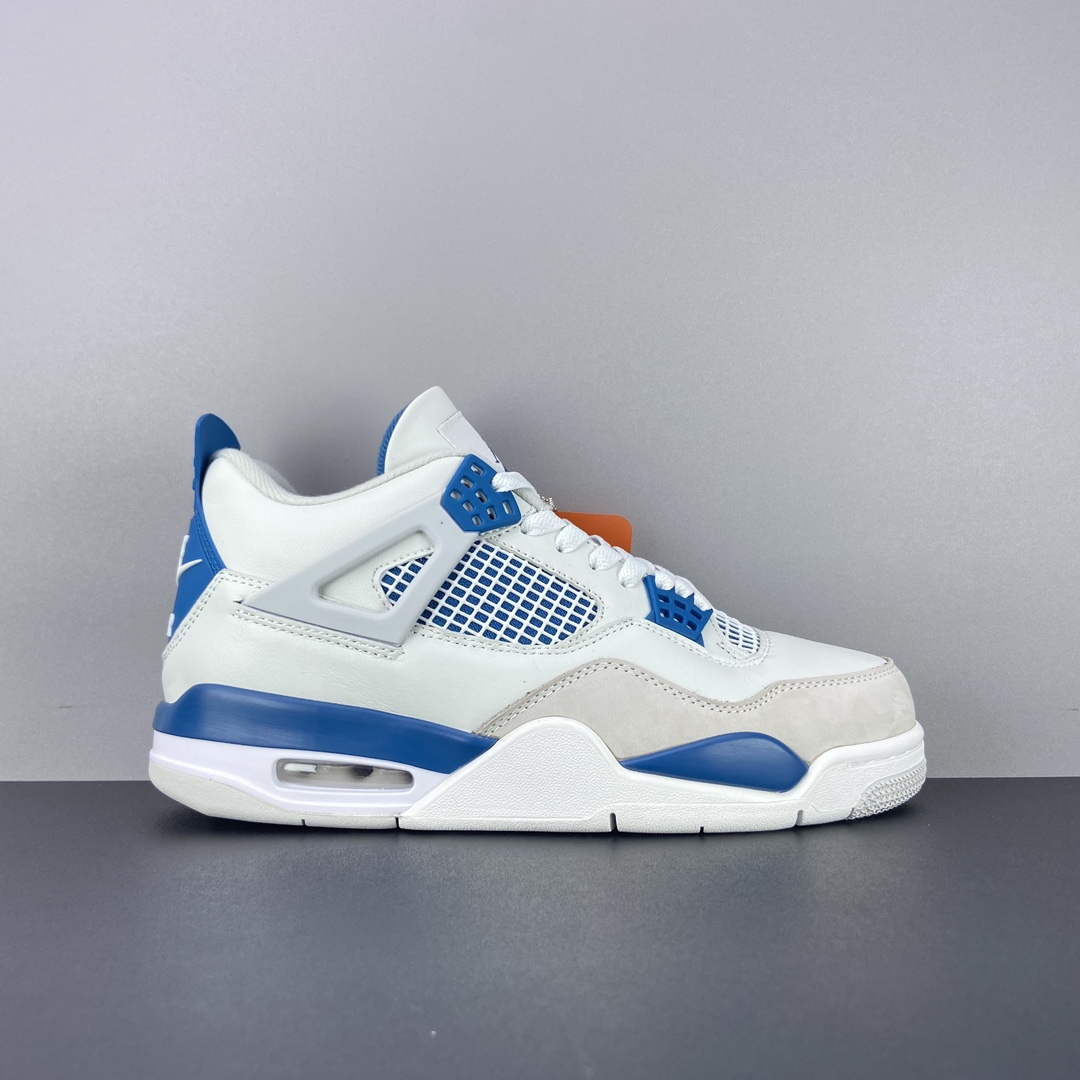 Jordan Nike Basic Shoes L