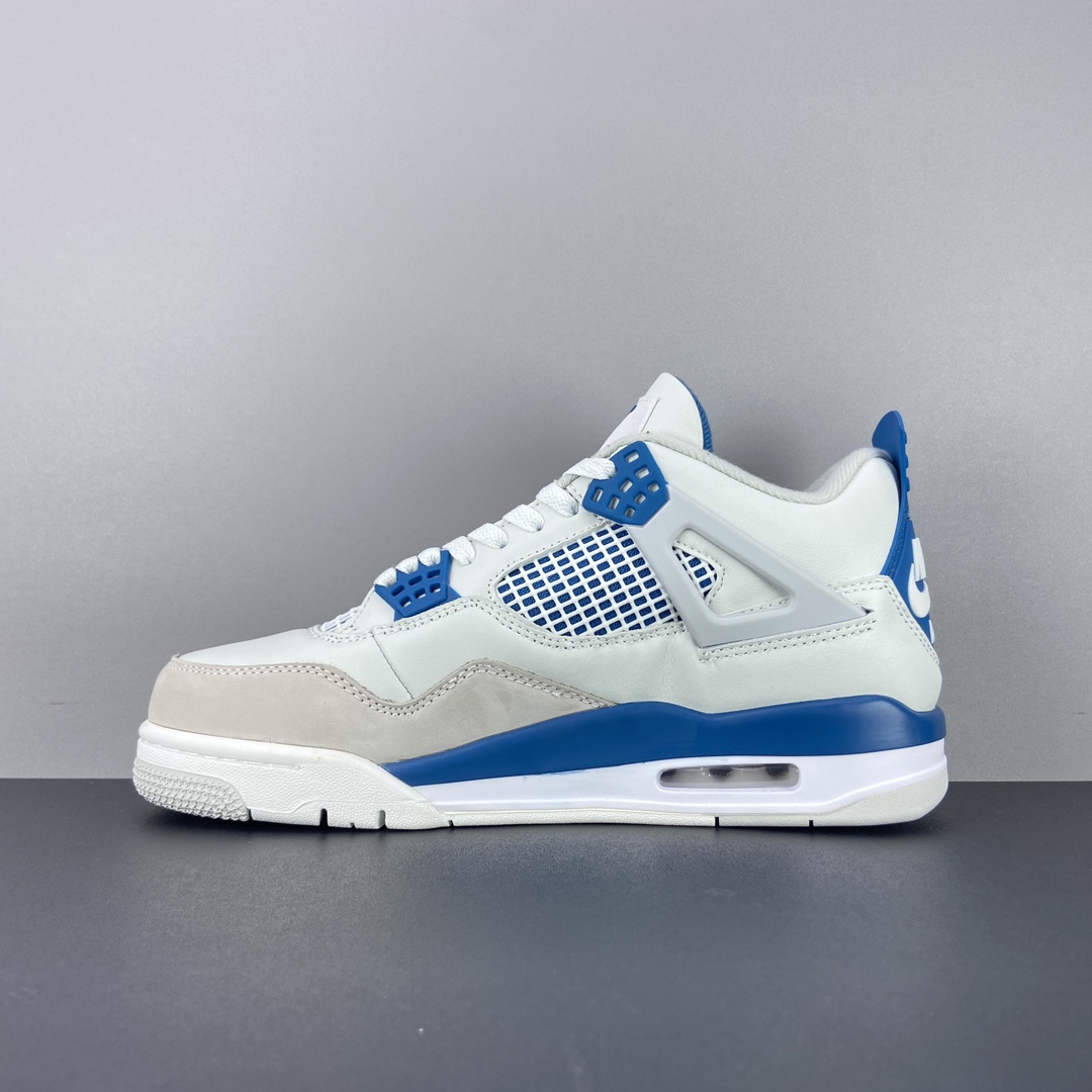 Jordan Nike Basic Shoes L