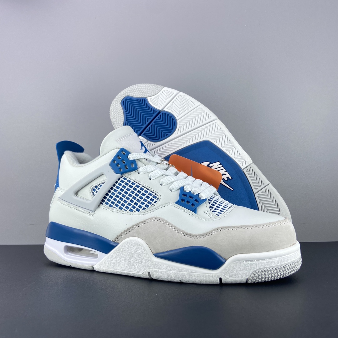 Jordan Nike Basic Shoes L