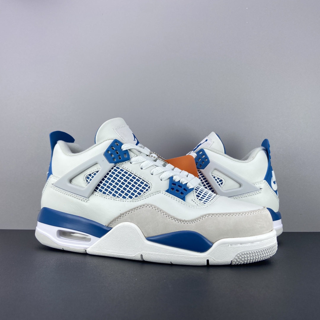 Jordan Nike Basic Shoes L