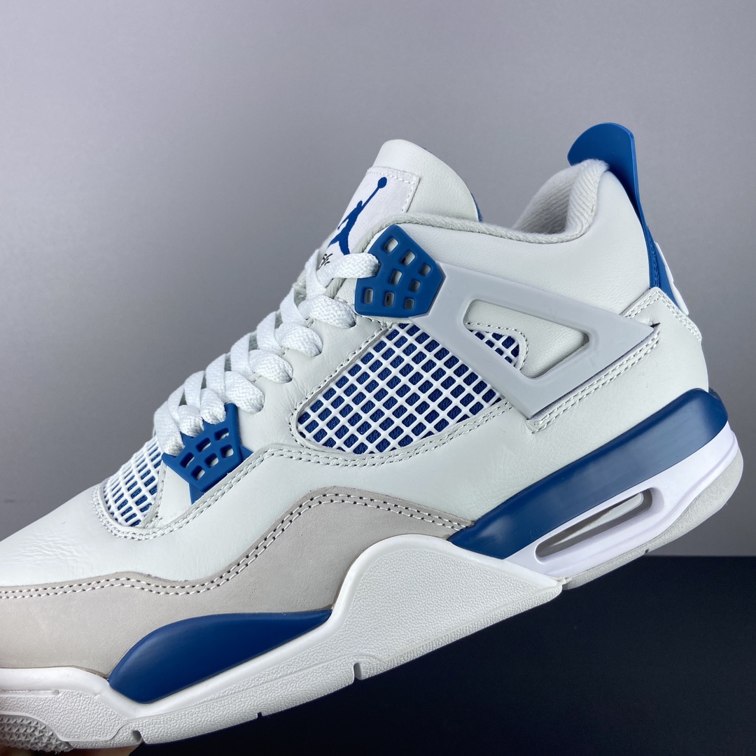 Jordan Nike Basic Shoes L