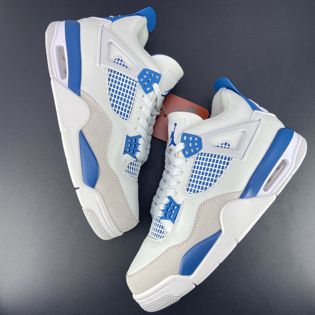 Jordan Nike Basic Shoes L