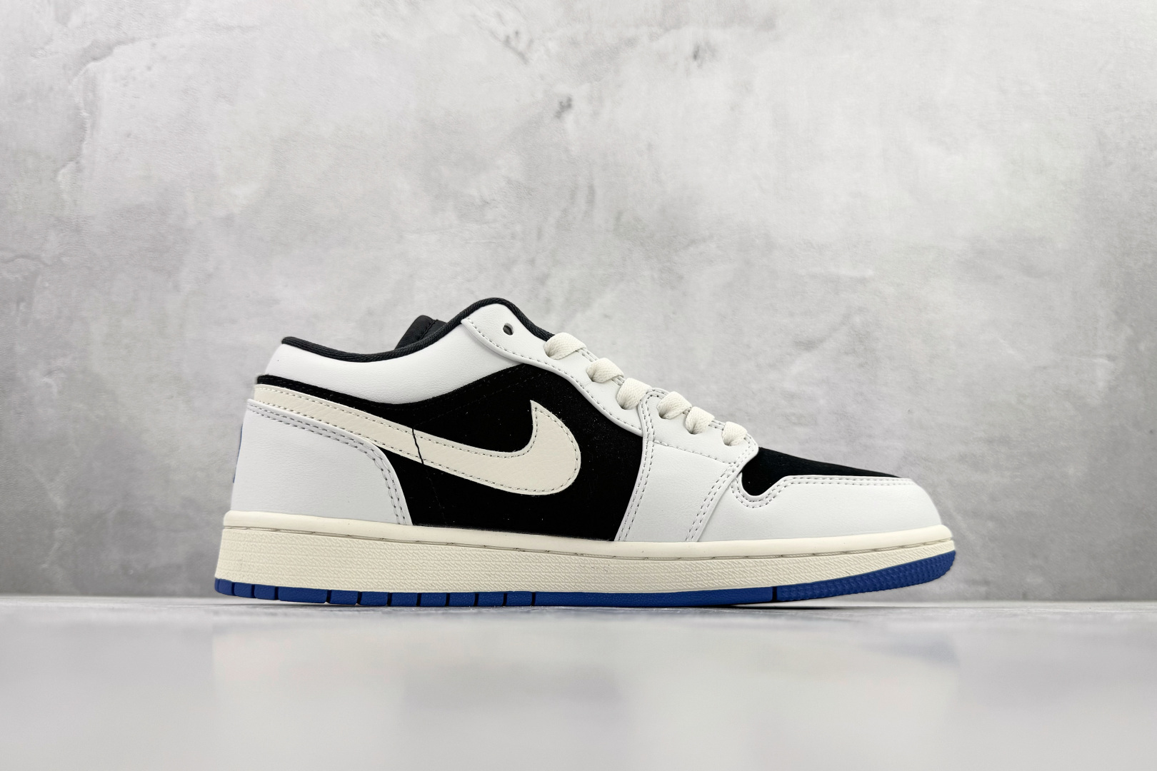 Jordan Nike Basic Shoes L