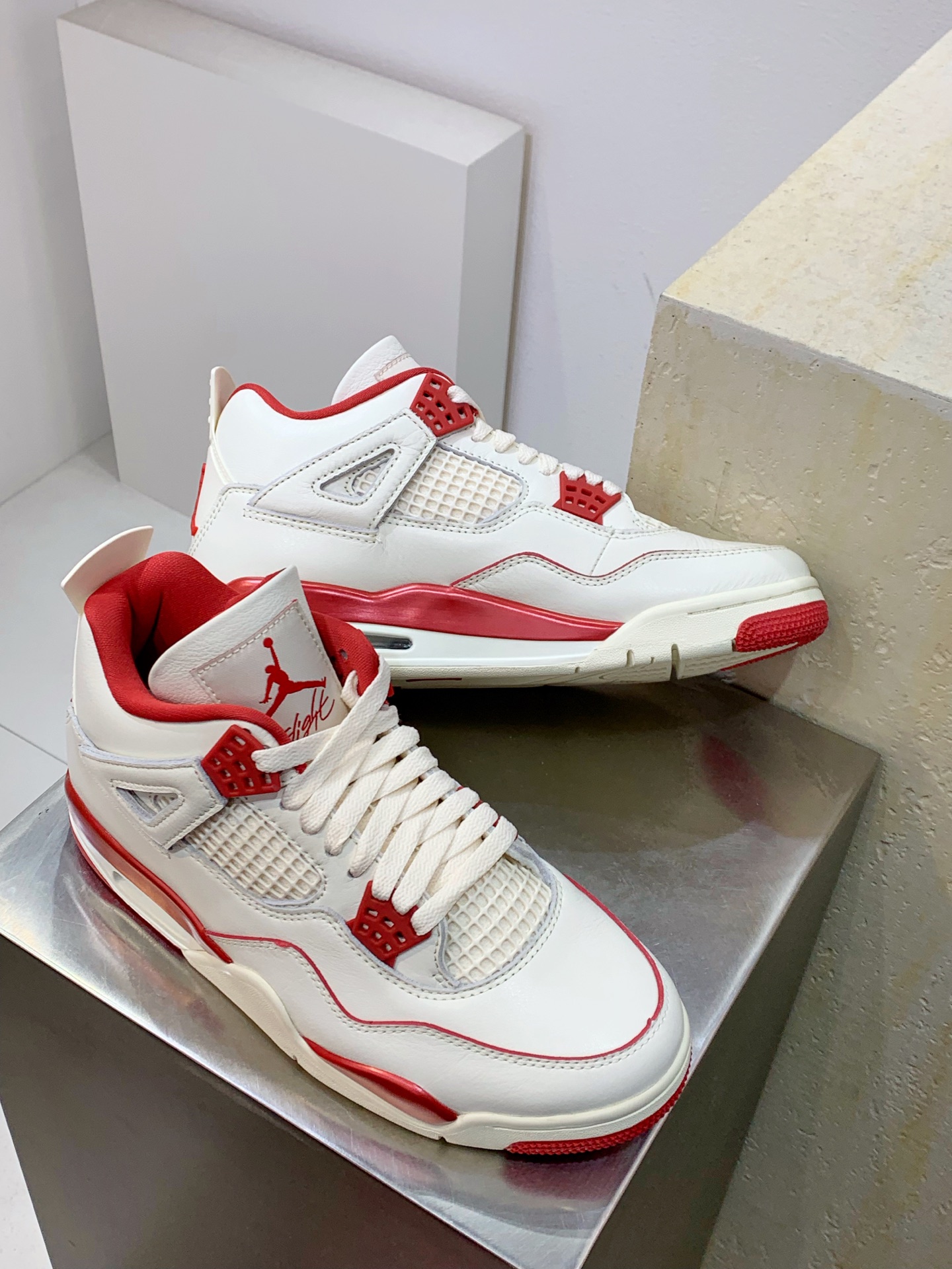 Jordan Nike Basic Shoes