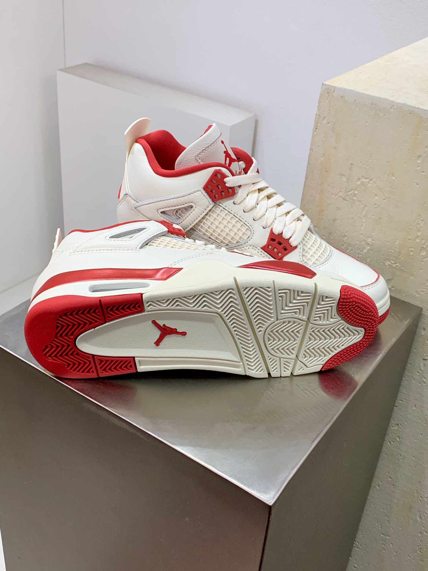 Jordan Nike Basic Shoes