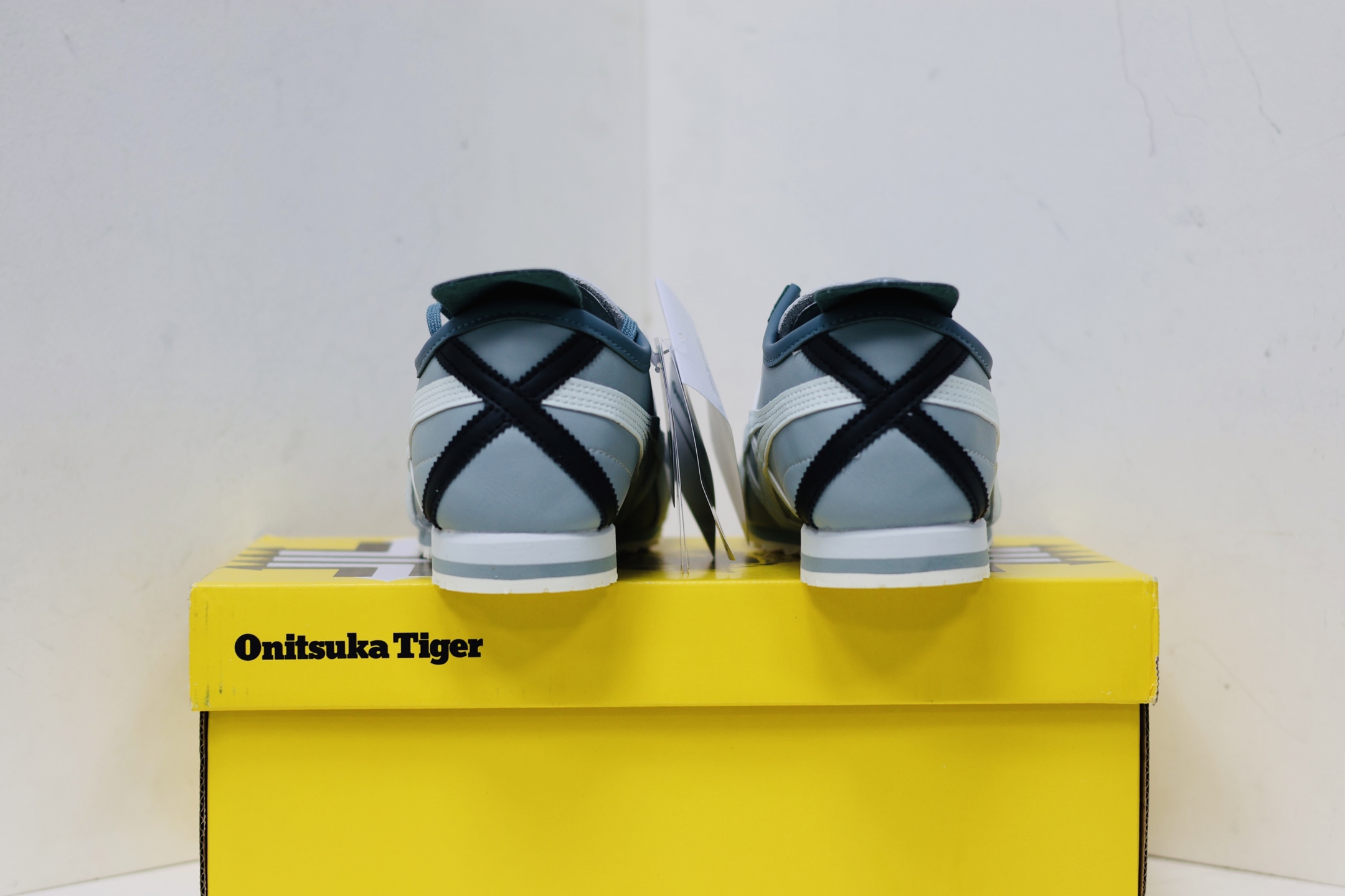 Onitsuka Tiger Basic Shoes M-s