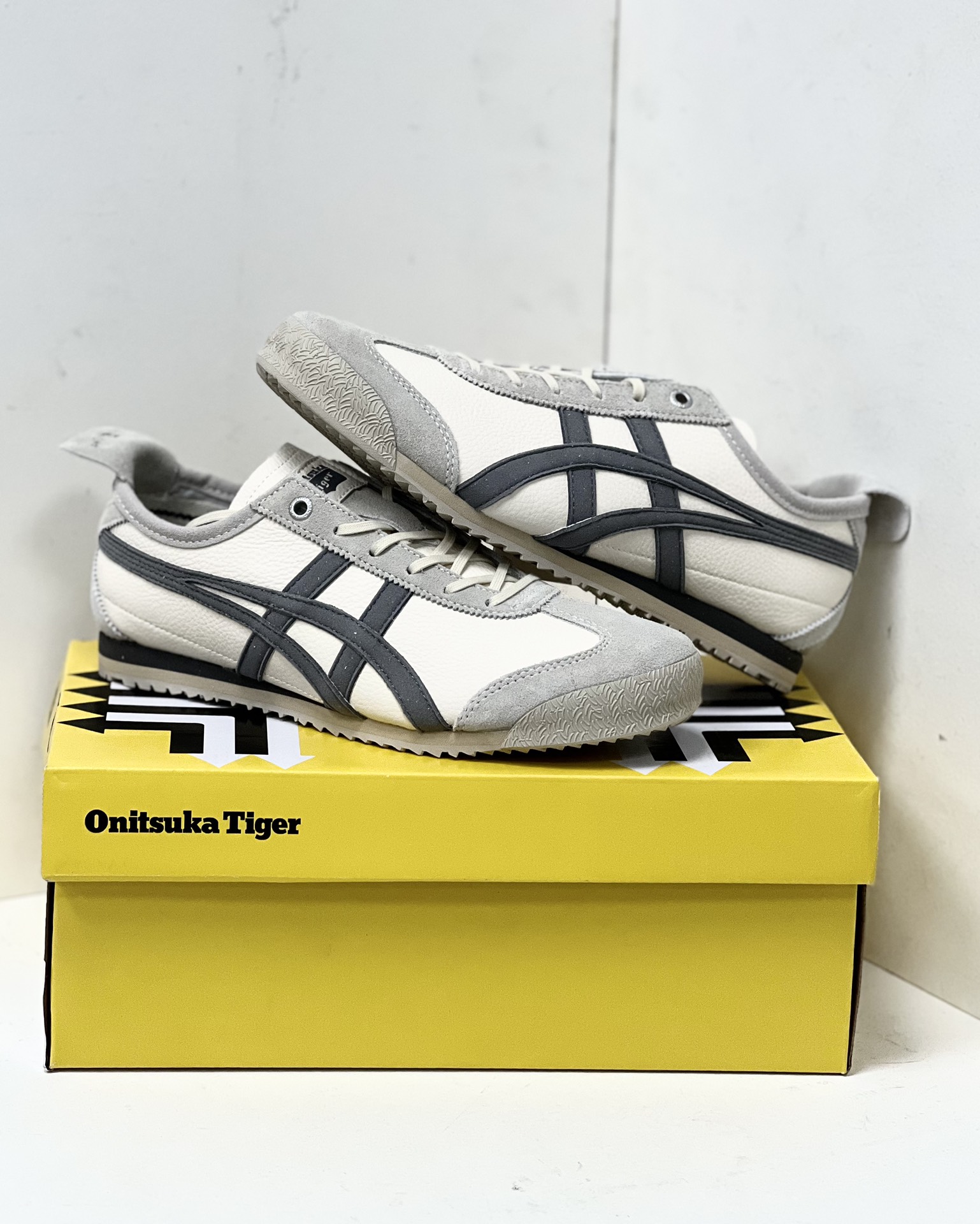 Onitsuka Tiger Basic Shoes M-s