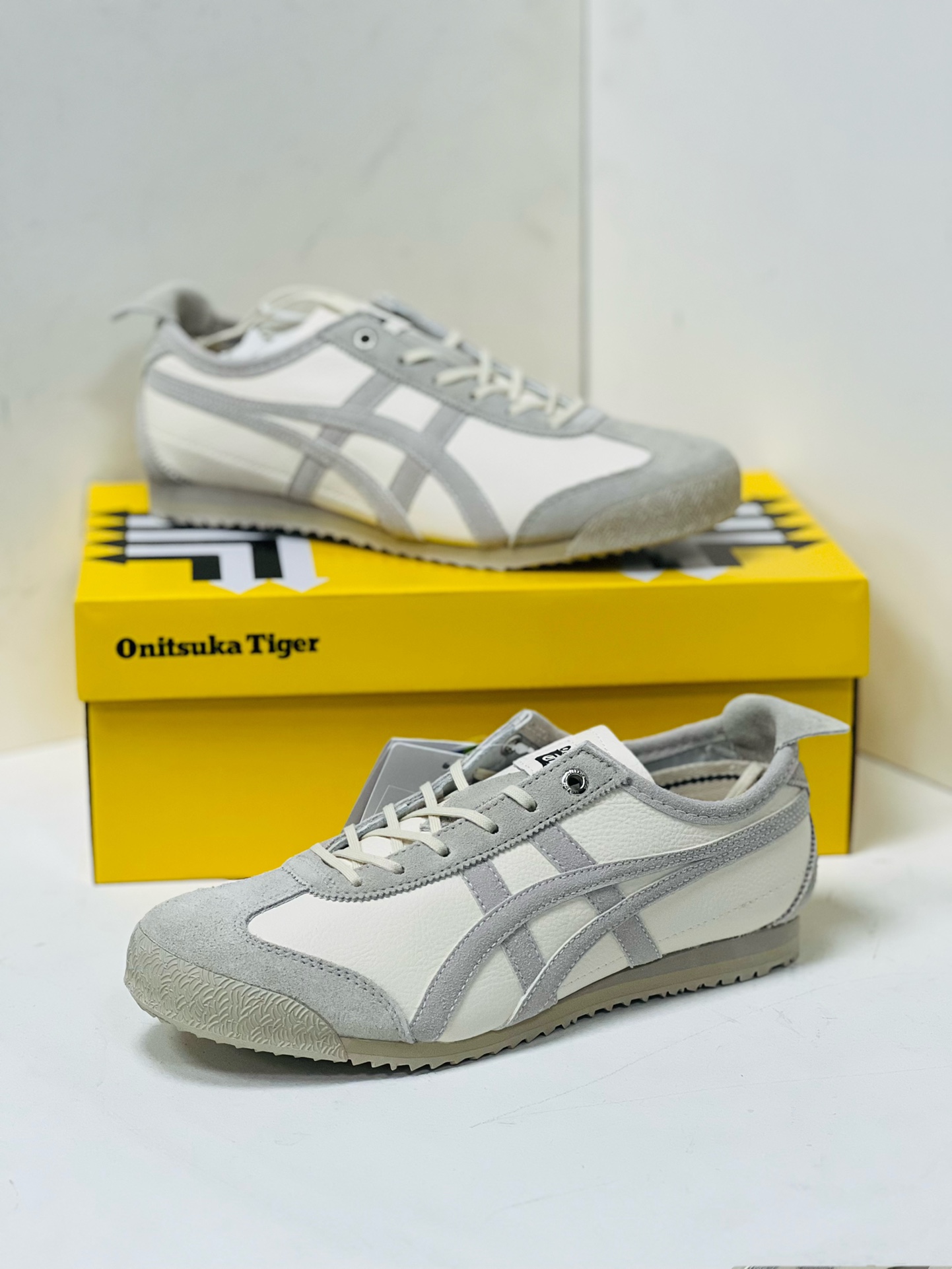 Onitsuka Tiger Basic Shoes M-s