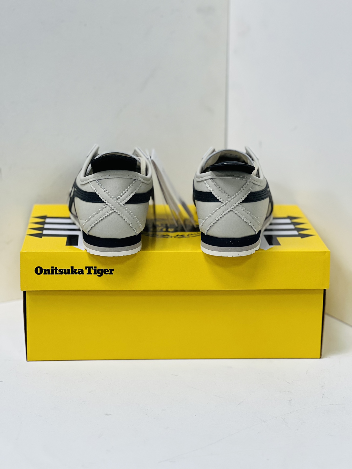 Onitsuka Tiger Basic Shoes M-s
