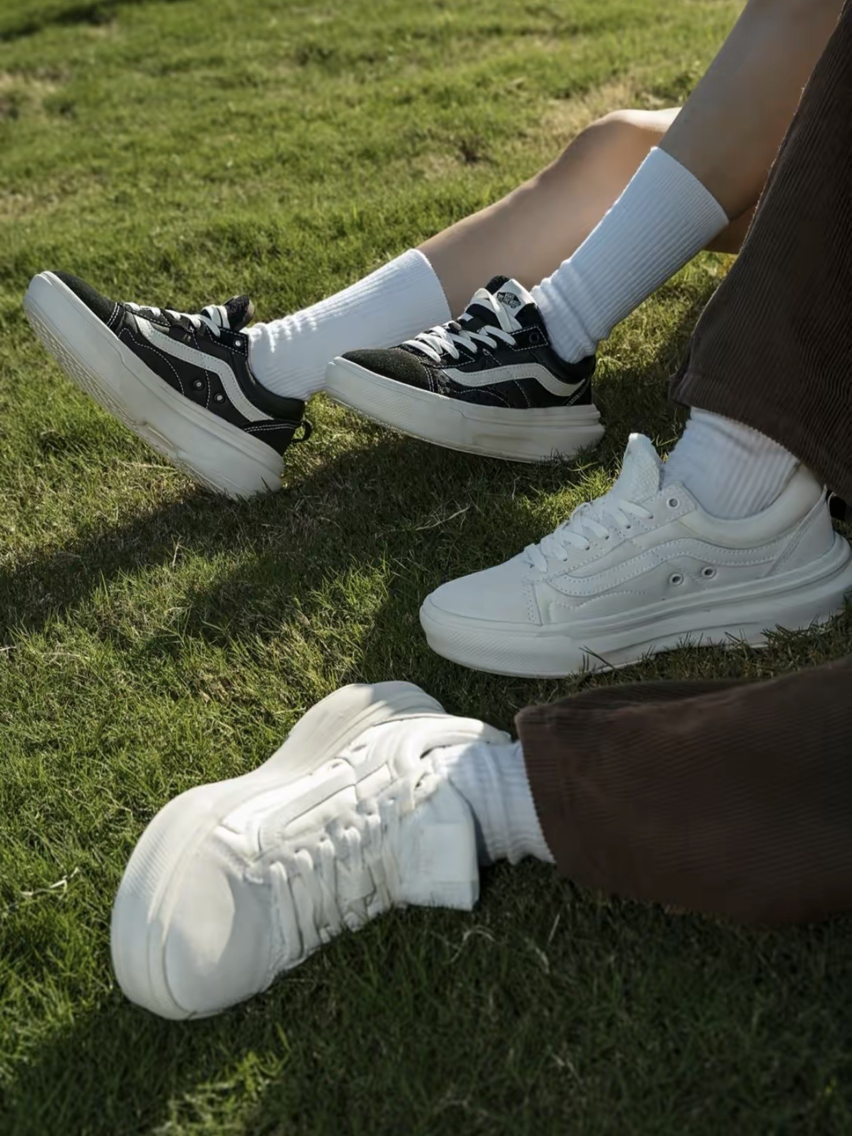 Vans Basic Shoes Mesh L-s